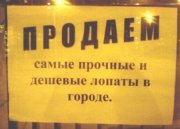 1287830219_bel08.jpg