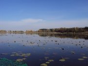 DSC02707.JPG