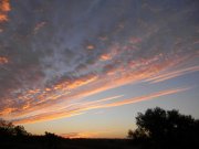 DSCN0063.jpg