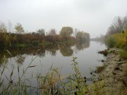 27102010140н.JPG