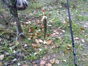 27102010141н.JPG