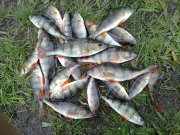 27102010142н.JPG
