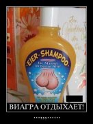 1288265486_demotivatory_05.jpg