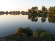 IMG_2348.jpg