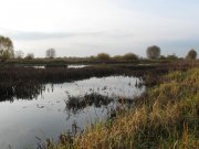 IMG_2486.jpg