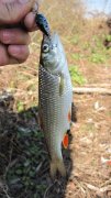 IMG_0893.jpg