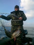 30102010058.jpg