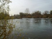 02112010146н.JPG