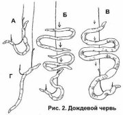 image002(16).jpg