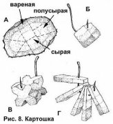 image003(16).jpg