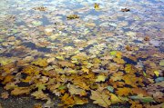 IMG_7953_01.jpg