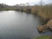 IMG_0204.jpg