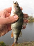 IMG_16520.jpg