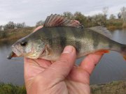 IMG_16530.jpg