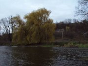 Resize of DSC02736.JPG