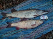 DSC00644_.jpg