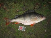 IMG_1327.JPG