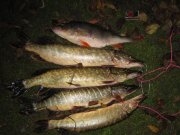 IMG_1328.JPG