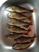 DSC00030.JPG