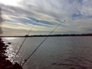 131120102908.jpg