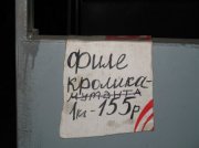 1289756245_marasm_20.jpg