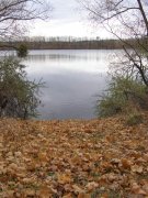 PB071169.jpg