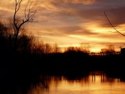 P1230332_новый размер.JPG