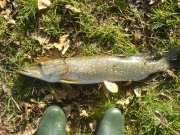 DSC03069.jpg