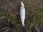 16112010148н.JPG