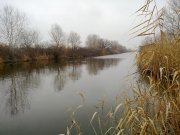 19112010149н.JPG