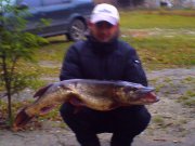 PICT0007.jpg