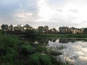 IMG_1728.jpg
