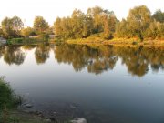 IMG_2346.jpg