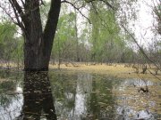 IMG_1445.jpg