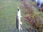 21112010152н.JPG
