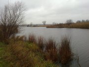 21112010153н.JPG