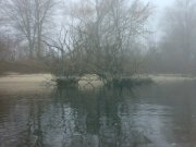 201120102921.jpg