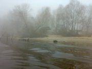 201120102924.jpg