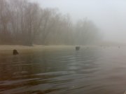 201120102926.jpg