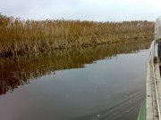 201120102935.jpg