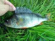 170520101310.jpg