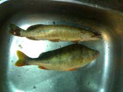 170520101312.jpg