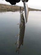 IMG_2640.jpg