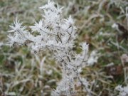 IMG_0017.JPG