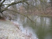 IMG_0018.jpg