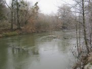 IMG_0019.jpg