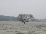 IMG_0020.jpg