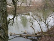 IMG_0028.jpg