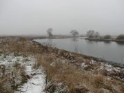 IMG_2656.jpg