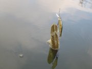Соф.вдх. Закрытие сезона (часть 1) 009.jpg